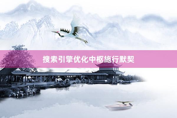 搜索引擎优化中枢施行默契