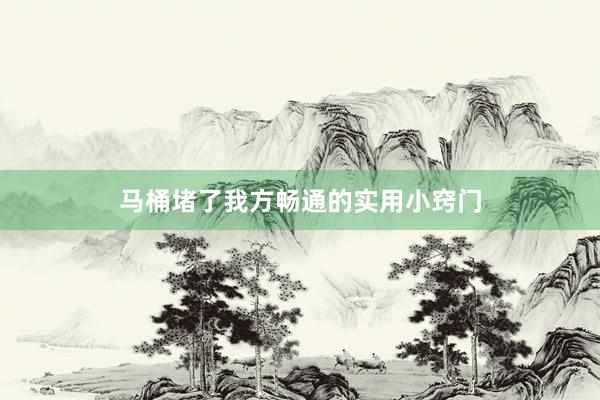 马桶堵了我方畅通的实用小窍门