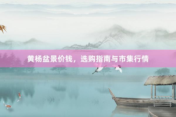 黄杨盆景价钱，选购指南与市集行情